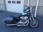 2003 Harley-Davidson XL883 Hugger