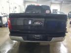 2024 Ford F150 XL