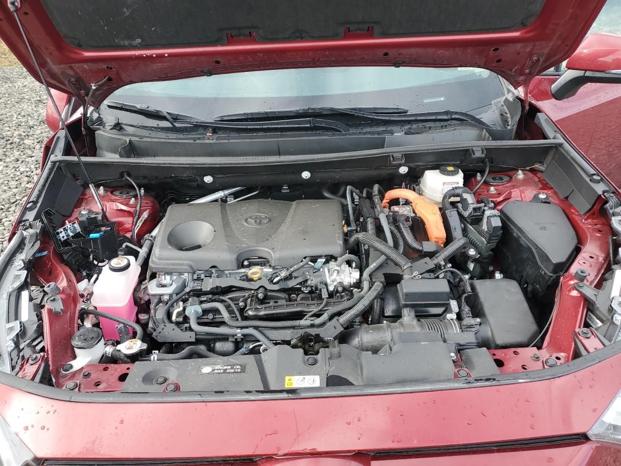 2024 Toyota Rav4 xle Premium