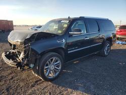 2014 Cadillac Escalade esv Platinum for sale in Clewiston, FL