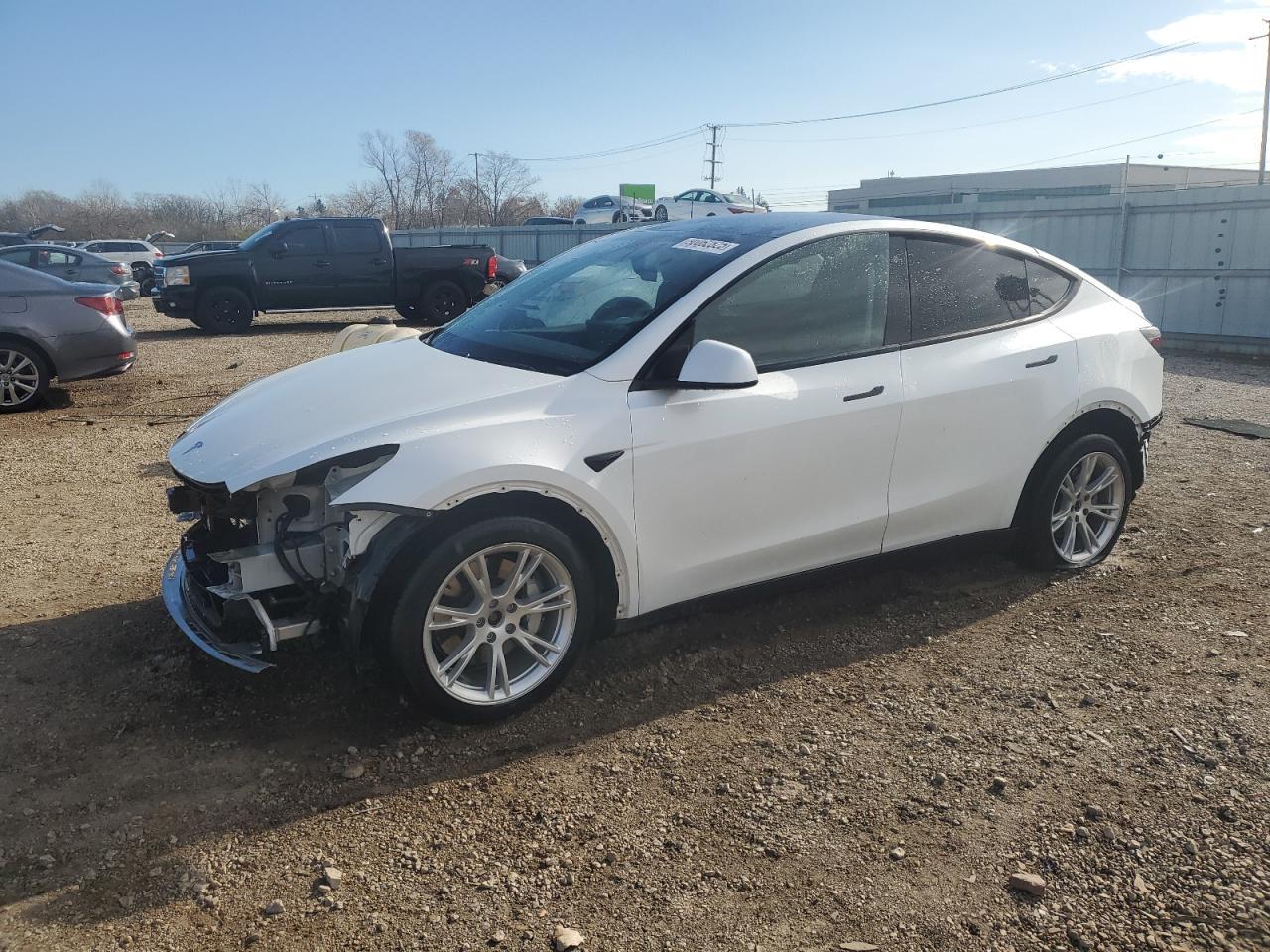 2020 Tesla Model y
