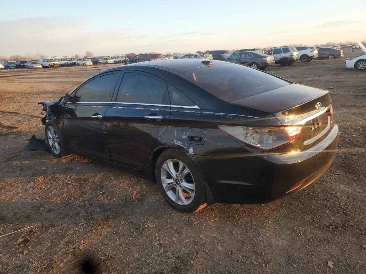 2013 Hyundai Sonata se