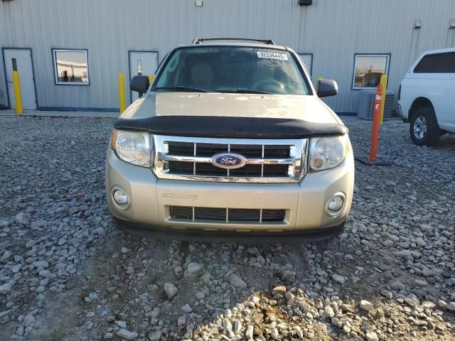 2010 Ford Escape xlt