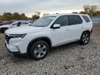 2024 Honda Pilot exl
