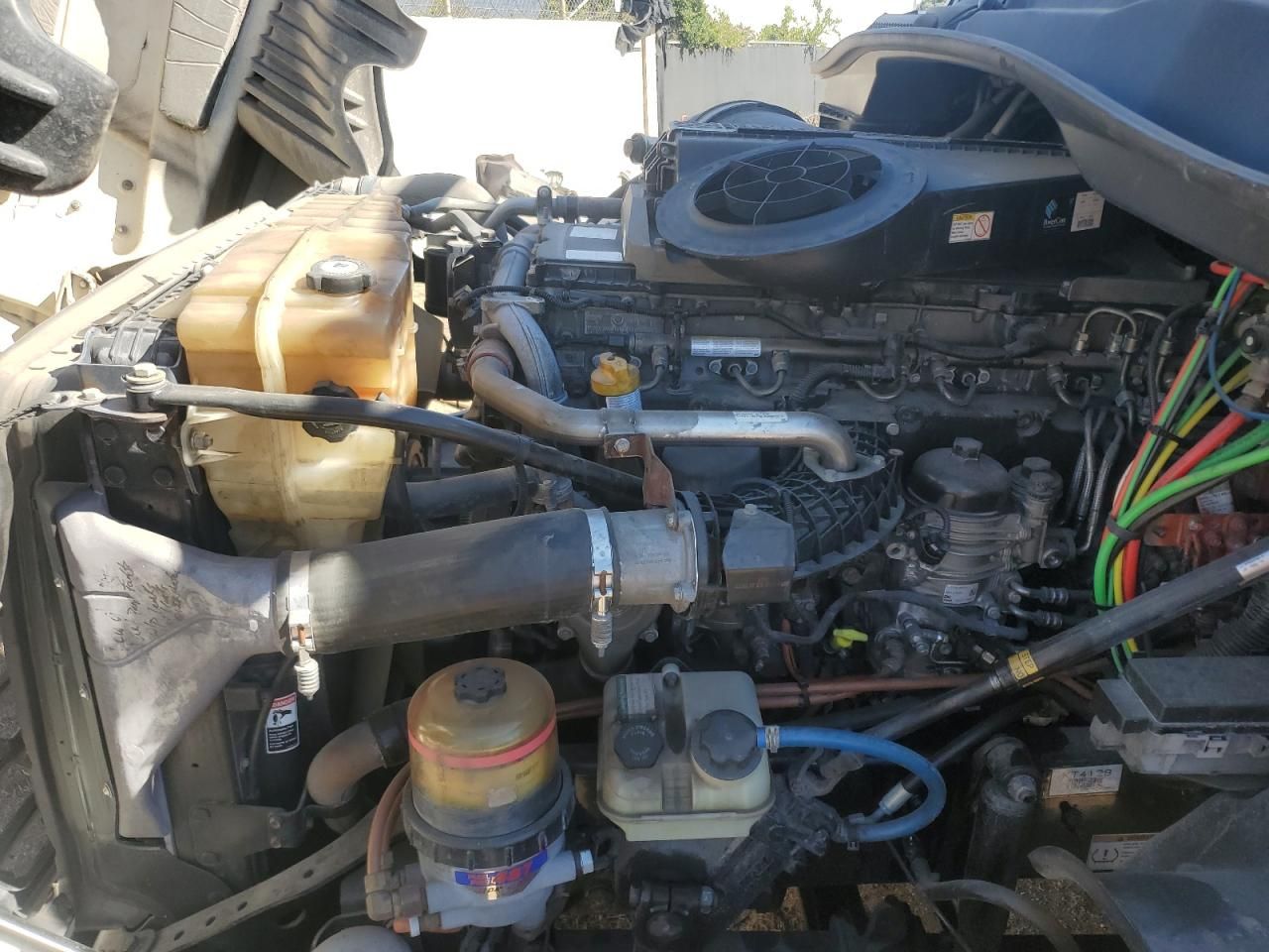 2019 Freightliner Cascadia 125 Semi Truck