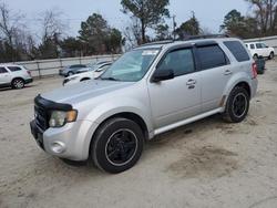 Ford Escape salvage cars for sale: 2010 Ford Escape xlt