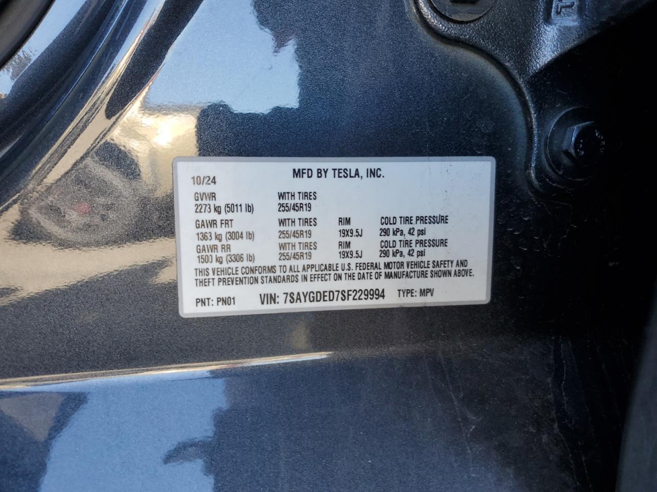 2025 Tesla Model y
