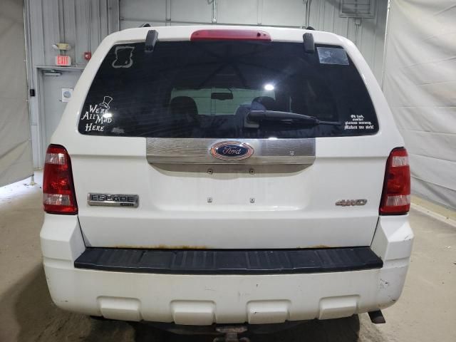 2009 Ford Escape Limited