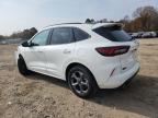 2024 Ford Escape st Line