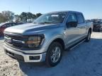 2024 Ford F150 xlt