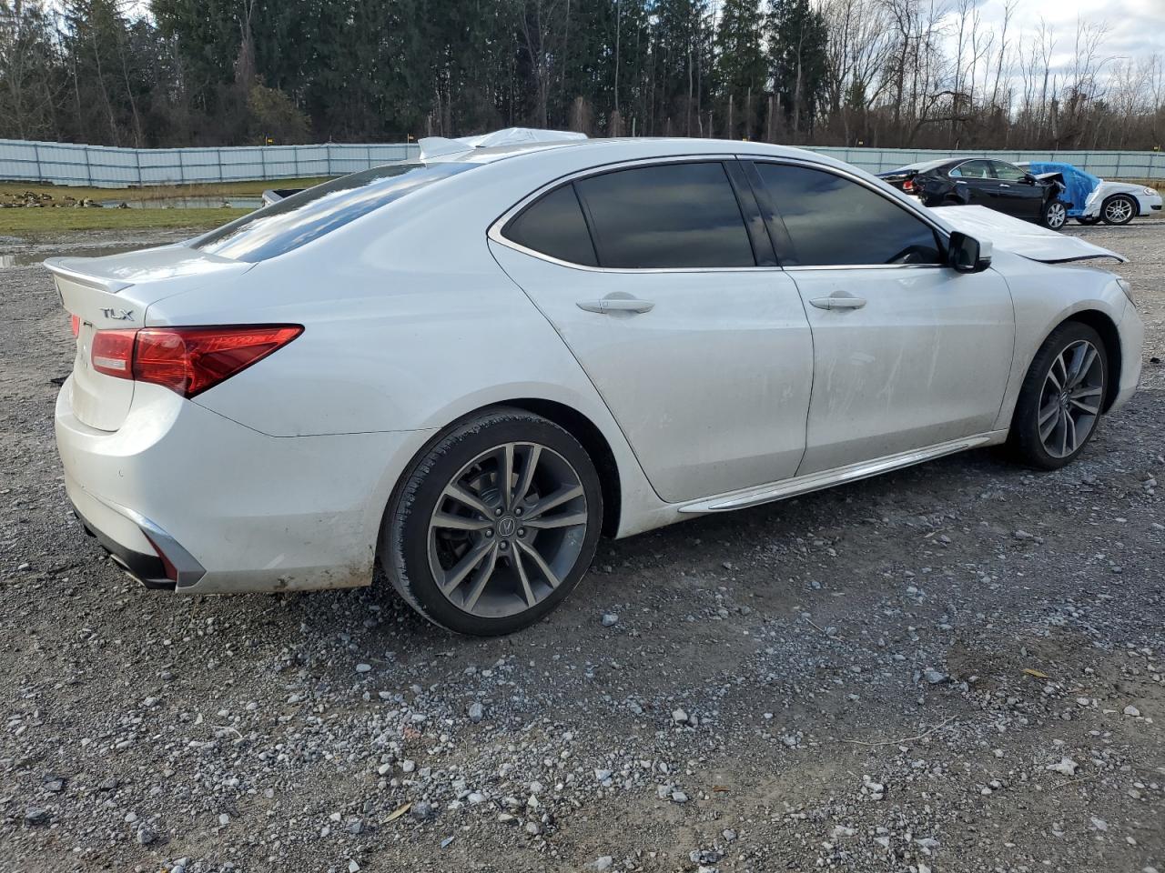 2019 Acura Tlx Advance