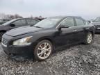2012 Nissan Maxima s