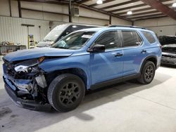 Honda Pilot salvage cars for sale: 2024 Honda Pilot Trailsport