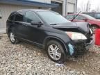 2010 Honda Cr-v exl