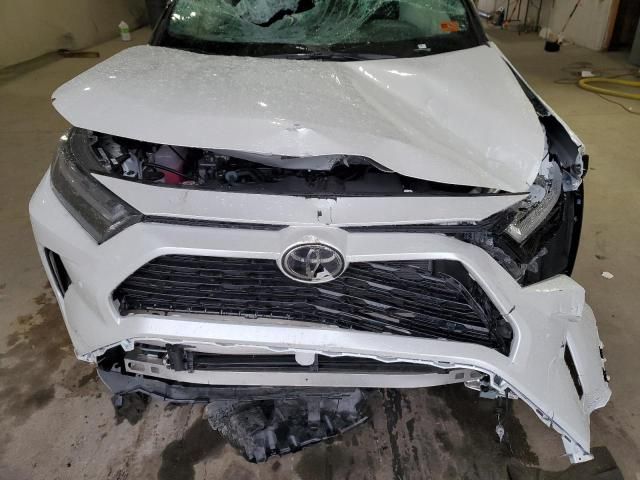 2025 Toyota Rav4 xse