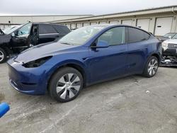 Tesla salvage cars for sale: 2023 Tesla Model y