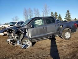 Salvage trucks for sale at London, ON auction: 2025 Ford F150 XL
