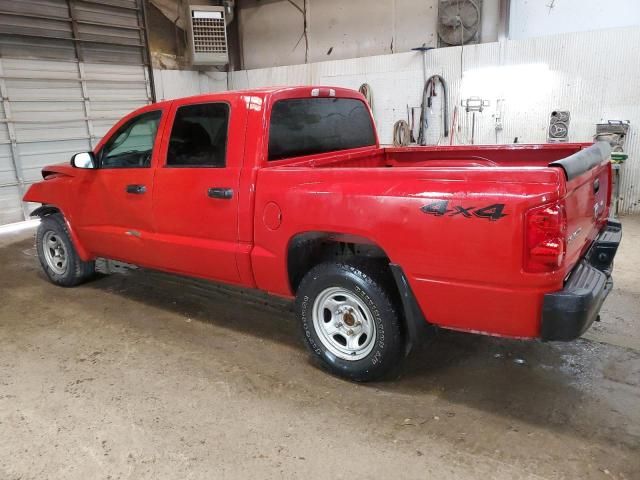 2006 Dodge Dakota Quattro