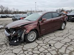 Vehiculos salvage en venta de Copart Fort Wayne, IN: 2015 Ford Fusion SE Hybrid