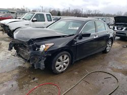 Honda Accord EX salvage cars for sale: 2010 Honda Accord EX