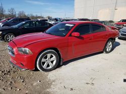 2013 Dodge Charger SE en venta en Lawrenceburg, KY