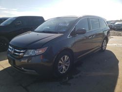 Honda salvage cars for sale: 2016 Honda Odyssey EXL