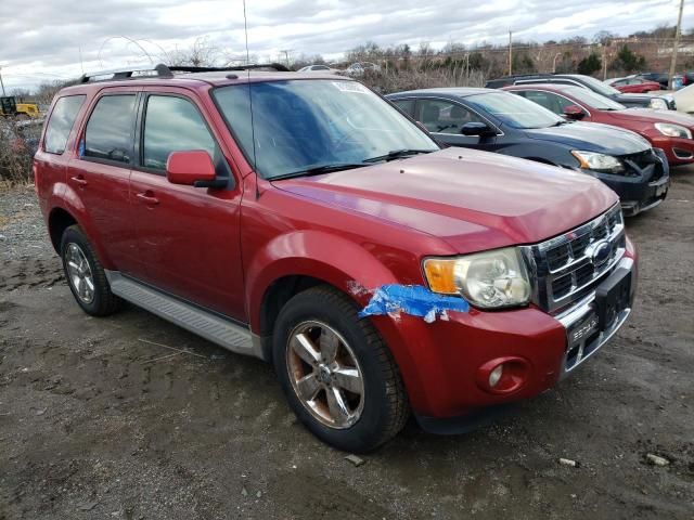 2009 Ford Escape Limited