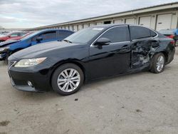 2013 Lexus ES 350 en venta en Louisville, KY