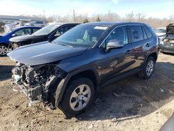 Toyota Rav4 salvage cars for sale: 2023 Toyota Rav4 LE