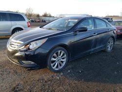 Salvage cars for sale from Copart Columbia Station, OH: 2013 Hyundai Sonata SE