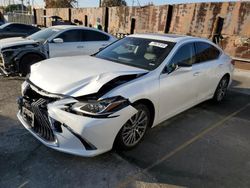 Lexus salvage cars for sale: 2019 Lexus ES 300H