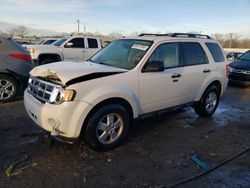 2011 Ford Escape XLT for sale in Louisville, KY