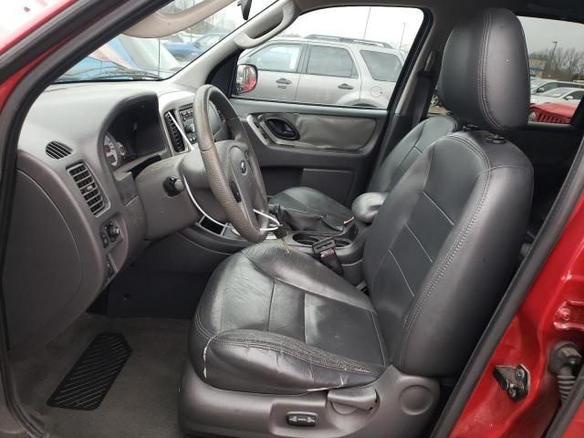 2005 Ford Escape XLT