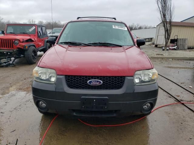 2005 Ford Escape XLT