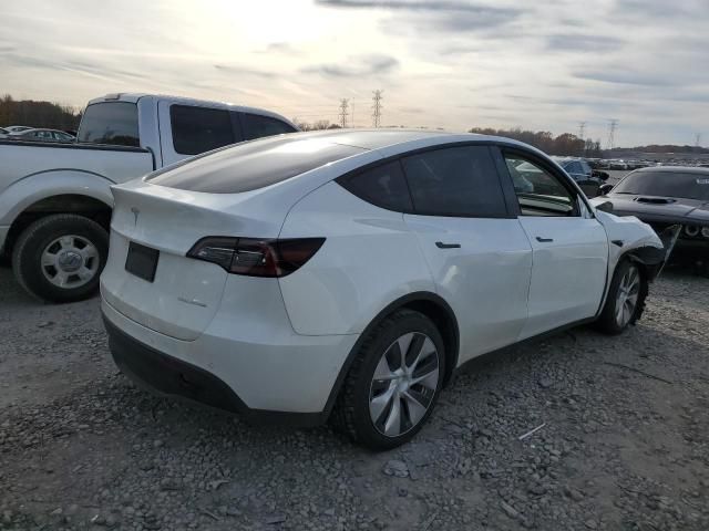 2020 Tesla Model Y