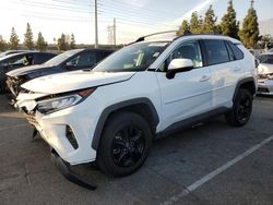Salvage cars for sale from Copart Rancho Cucamonga, CA: 2021 Toyota Rav4 XLE
