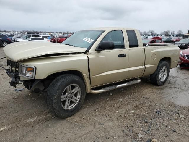 2011 Dodge Dakota SLT