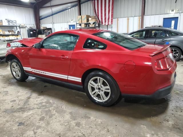 2010 Ford Mustang