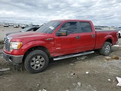 Ford F-150 salvage cars for sale: 2011 Ford F150 Supercrew