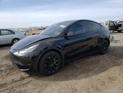 Tesla salvage cars for sale: 2021 Tesla Model Y