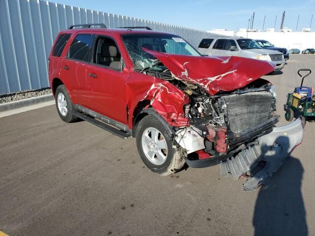 2009 Ford Escape XLT