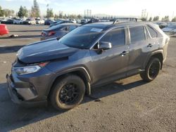 Toyota rav4 xle salvage cars for sale: 2019 Toyota Rav4 XLE