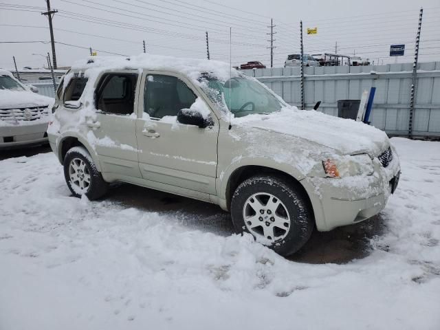 2004 Ford Escape Limited