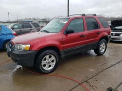 2005 Ford Escape XLT for sale in Louisville, KY