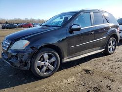 Mercedes-Benz ml 350 4matic salvage cars for sale: 2010 Mercedes-Benz ML 350 4matic