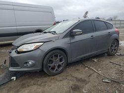 Ford Focus Vehiculos salvage en venta: 2013 Ford Focus SE