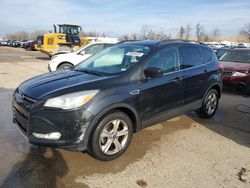 2014 Ford Escape SE for sale in Bridgeton, MO