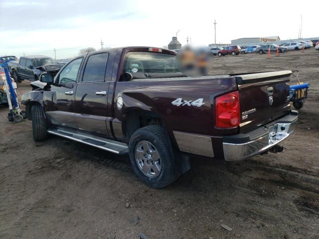 2005 Dodge Dakota Quad SLT