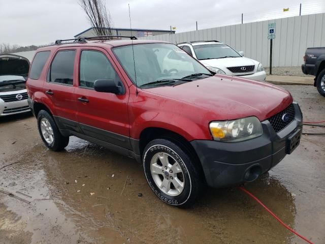 2005 Ford Escape XLT