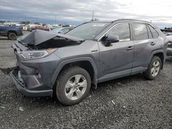 2021 Toyota Rav4 XLE for sale in Eugene, OR